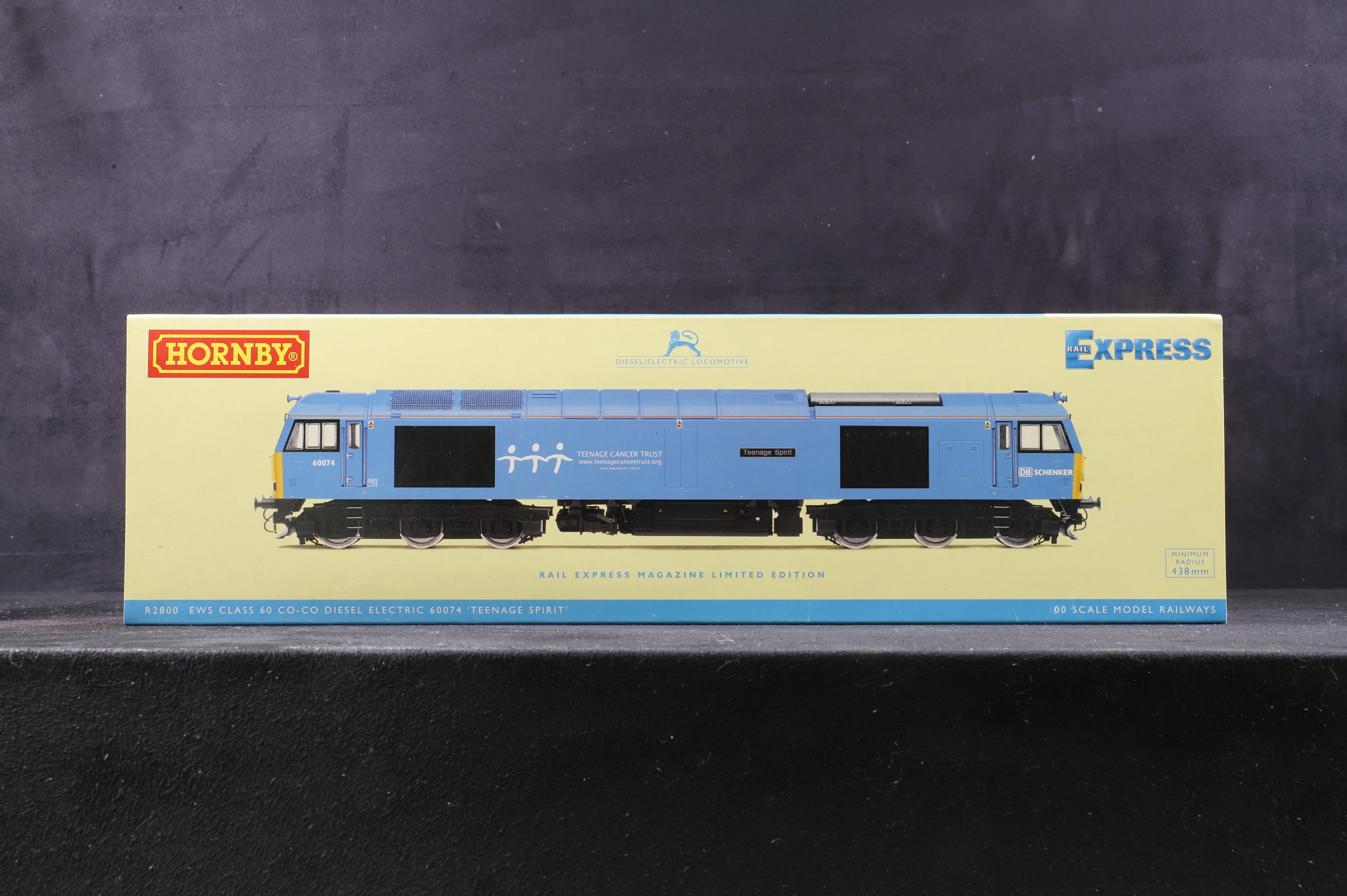Hornby OO R2800 EWS/DB Schenker Class 60 '60074' 'Teenage Spirit', Rail Excl. 296/1100